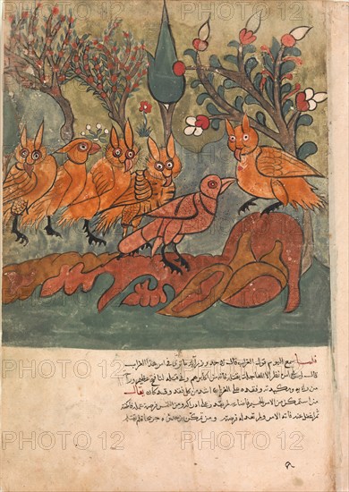 The Crow Spy Talks to the King of the Owls and His Ministers, Folio from a Kalila wa Dimna Manuscript, 18th century.