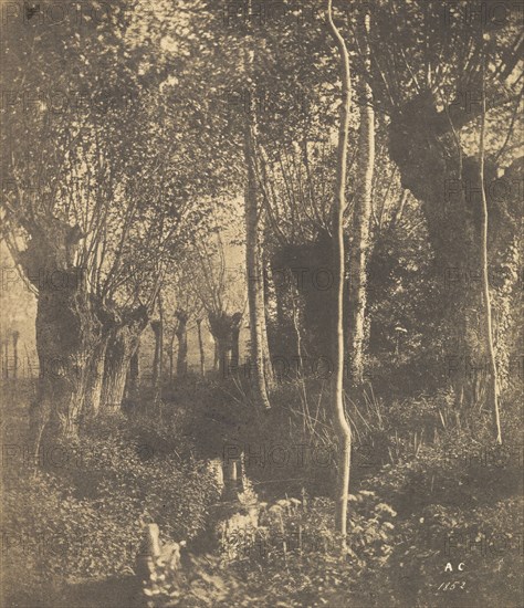 [Landscape, Arras], 1852.