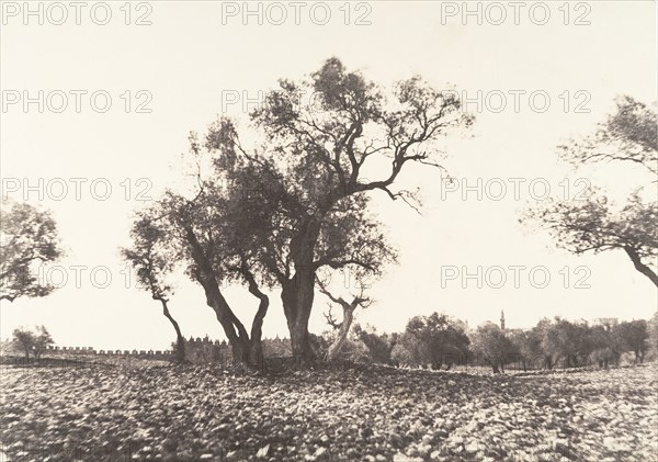 Jérusalem, Chemin de Naplouse, 1854.