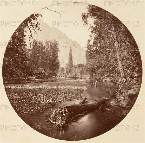 [Yosemite National Park, California], ca. 1878.