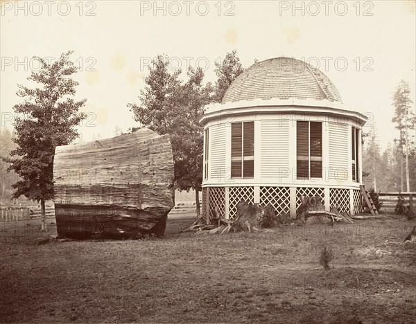The House over a Stump of a Big Tree, 1865-66, printed ca. 1876.
