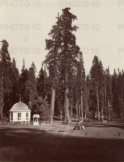 The Sentinel, 315 feet, 1865-66, printed ca. 1876.