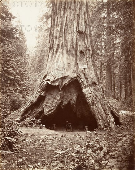 Pioneer's Cabin, 1865-66, printed ca. 1876.