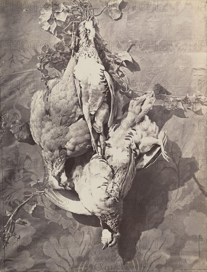 [Still Life with Game Birds], 1859.