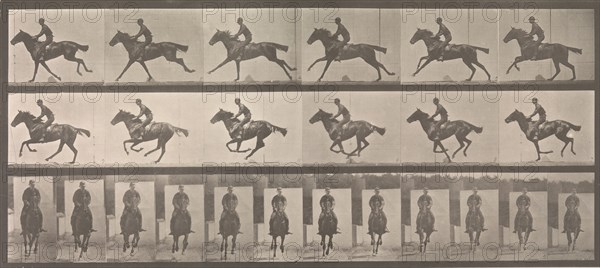 [Horse and Rider Galloping], 1883-86, printed 1887.