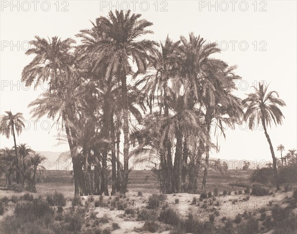 Karnak, Groupe de Dattiers Vu du Point A, 1851-52, printed 1853-54.