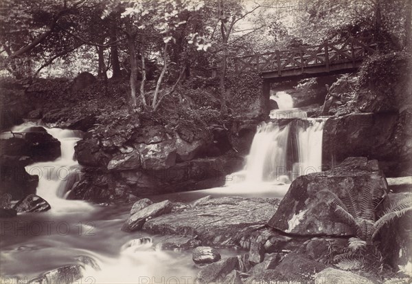 Glen Lun. The Rustic Bridge, 1870s.