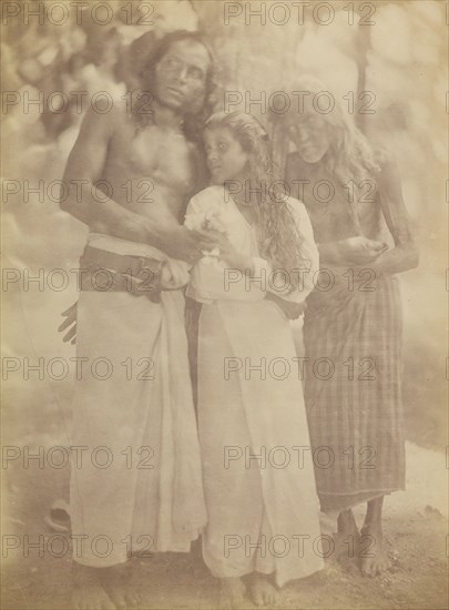 [Ceylonese Group by a Tree], 1878.