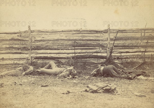 View in the Field, On the West Side of the Hagerstown Road, After the Battle of Antietam, Maryland, September 1862, 1862.
