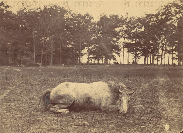 Is This Death - Antietam Battlefield, September 1862, 1862.