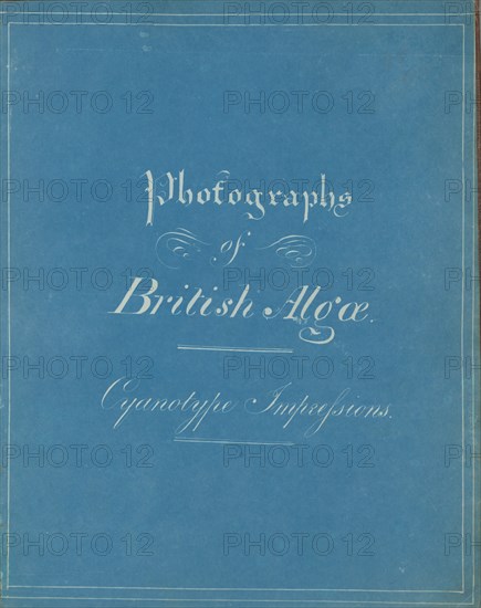 Photographs of British Algae: Cyanotype Impressions, ca. 1853.