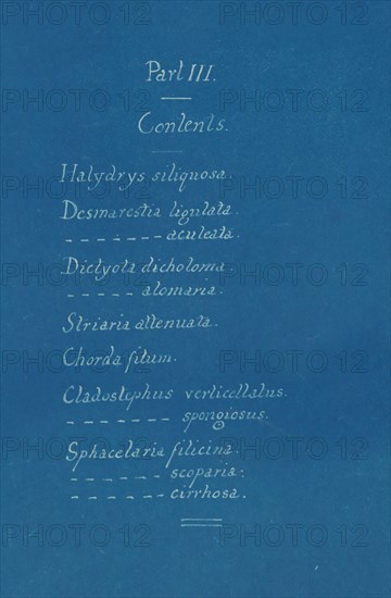 Part III Contents from Photographs of British Algae: Cyanotype Impressions, ca. 1853.