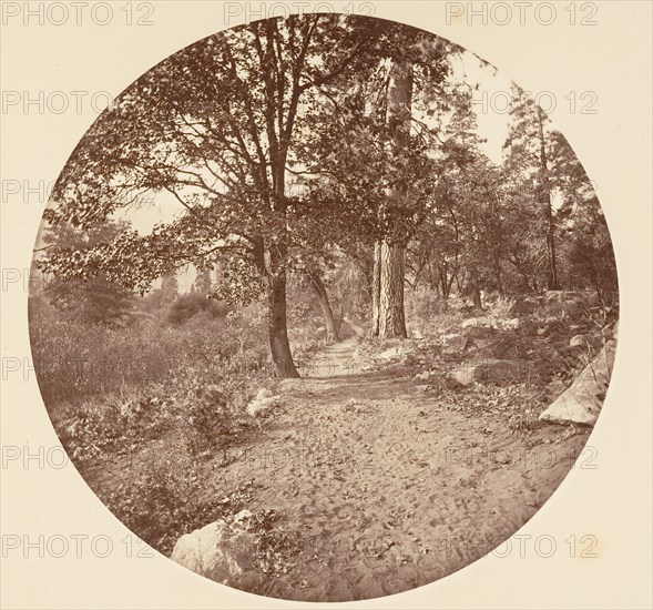 In the Yosemite Valley, ca. 1878.