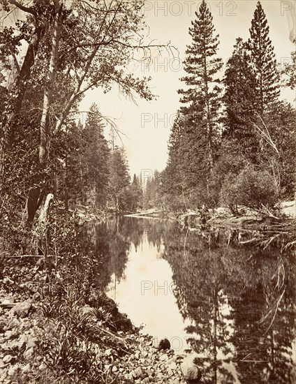 Merced River, Yosemite, ca. 1872, printed ca. 1876.