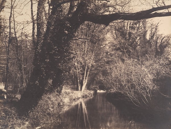 Parc de Courances, 1860-70.