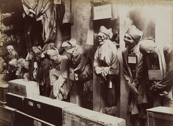 Catacombs, Convento dei Cappucini, Palermo, ca. 1895.