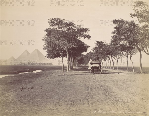 Caire. Allée de Pyramides, ca. 1870.