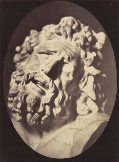 Figure 70: Head of the Laocoön of Rome, 1854-56, printed 1862.