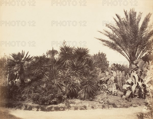 Pincian Garden, Rome, 1853-56.