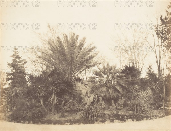 Pincian Garden, Rome, 1853-56.