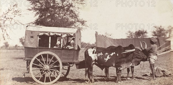 [Campbell Twins in a Shigram, Governor General's Camp], 1858-61.