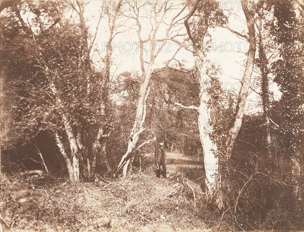 Cureuleo Meadow, 1853-56.