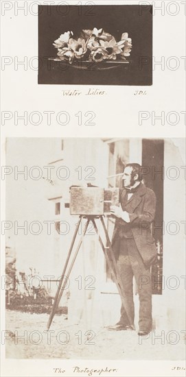 Water Lilies; The Photographer, 1853-56.