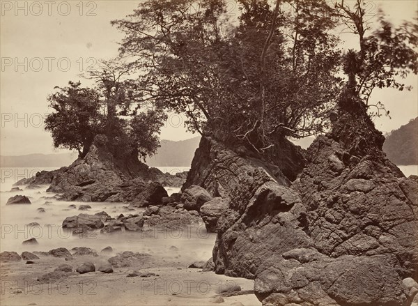 Tropical Scenery, Limon Bay - Low Tide, 1871.