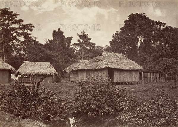 Tropical Scenery, Turbo Village, 1871.