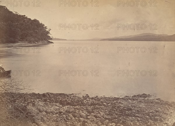 Tropical Scenery, Darien Harbor - Looking South, 1871.