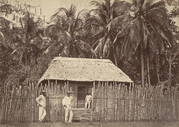 Tropical Scenery, Native Hut, Turbo, 1871.
