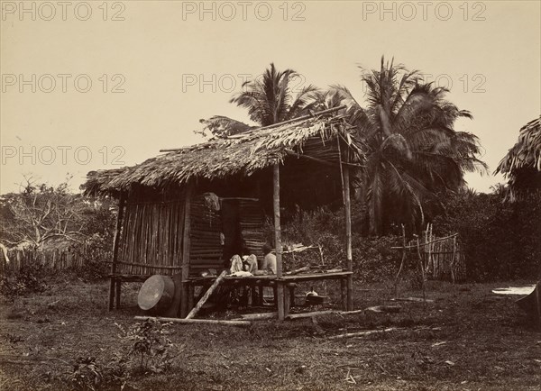 Tropical Scenery, Native Hut, Turbo, 1871.