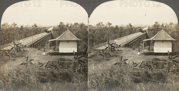 Group of 14 stereographs of Africa and Actors, 1850s-1910s. (Scene Above Bridge, on the Cape to Cairo Railway Over Zambezi River, near Victoria Falls, River.)
