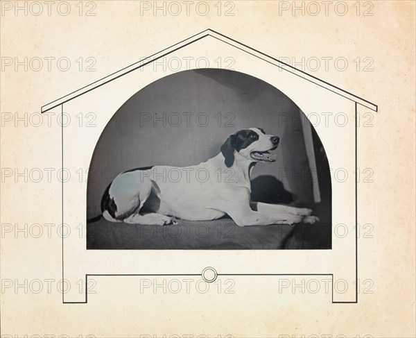 [Dog], 1841-49.