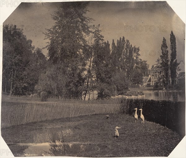 [Heron Pond, Zoological Gardens, Brussels], 1854-56.