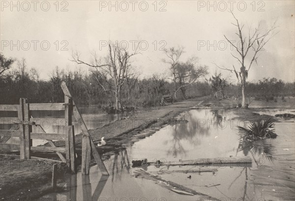 Road Through Flooded Land, 1890s-1900s.