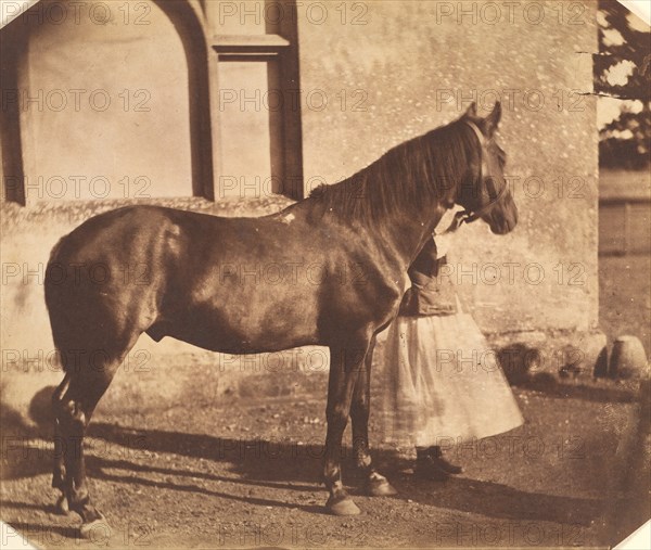 Sultan, mid-1850s.