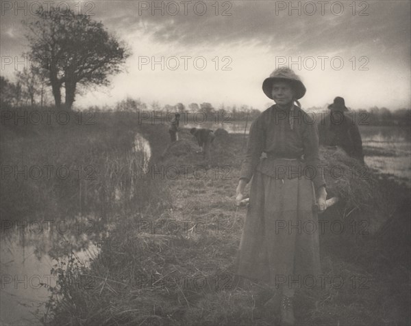 Poling the Marsh Hay, 1886.