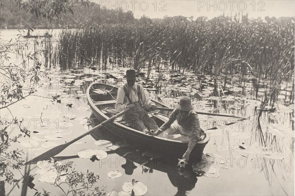 Gathering Water-Lilies, 1886.