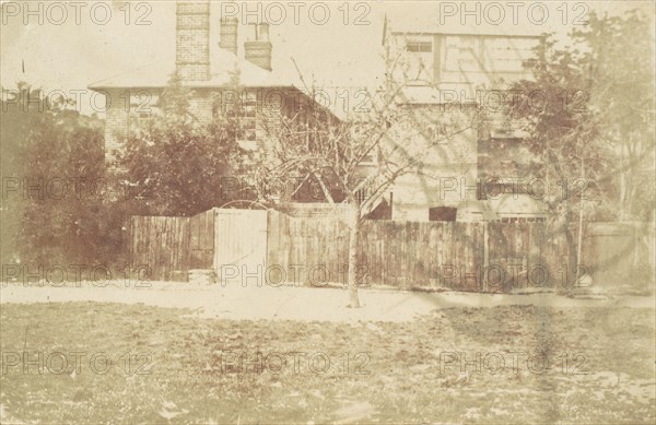 Tree in Yard, 1850s.