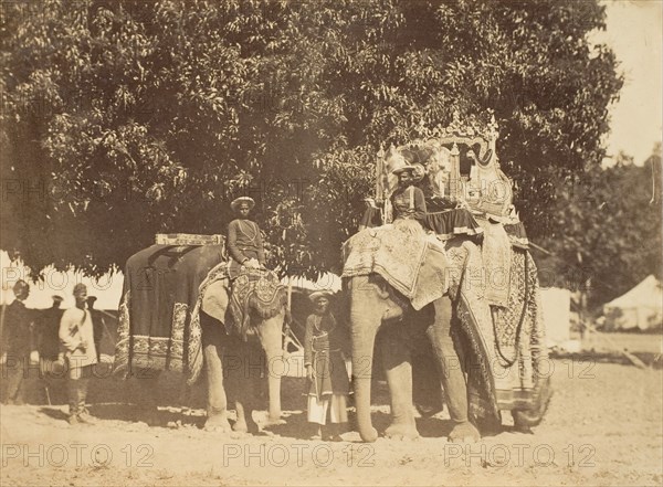 Governor General's State Elephant and Silver Howdah, 1858-61.