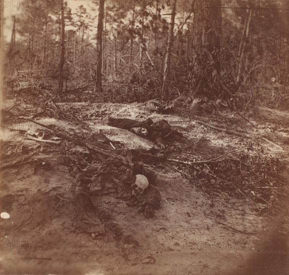 The Wilderness Battlefield, 1864. This is where Generals Robert E. Lee and Ulysses S. Grant had fought to a bloody draw in May 1864. It seems likely that these photographs date from the immediate postwar period, during cleanup operations.