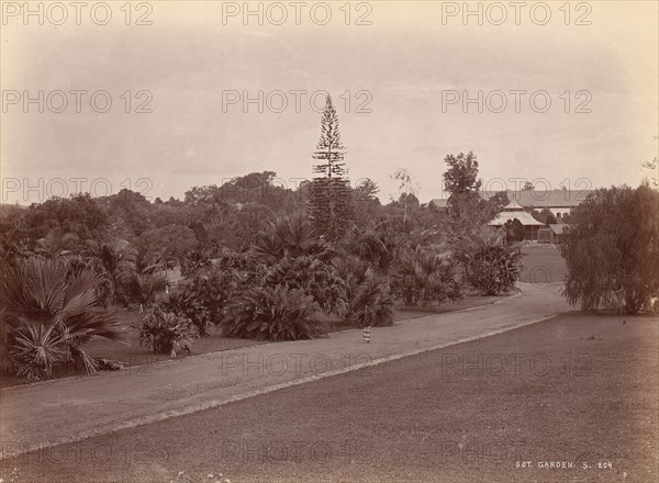 Botanical Garden, 1860s-70s.