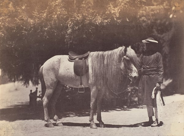 Lord Canning's Hill Pony, 1858-61.