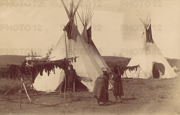 Native American Woman in Camp with Racks of Drying Meat, 1880s-90s.