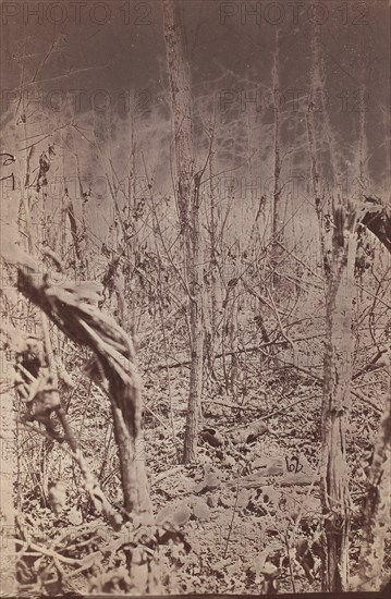 The Wilderness Battlefield, 1865-67.