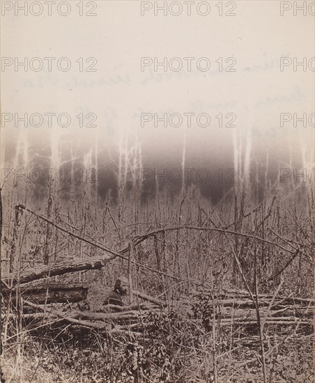 The Wilderness Battlefield, 1864.