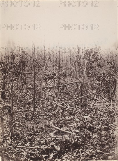 The Wilderness Battlefield, 1864.