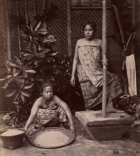 Javanese Women Preparing Rice, 1860s-70s.