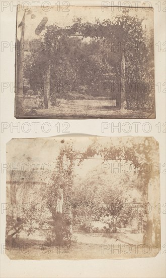 Garden at Umballa, 1850s.